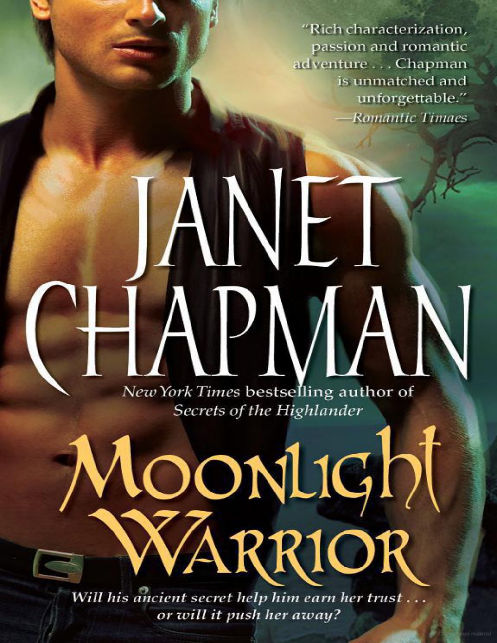 Cover of Moonlight Warrior