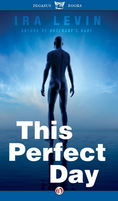 Cover of This Perfect Day