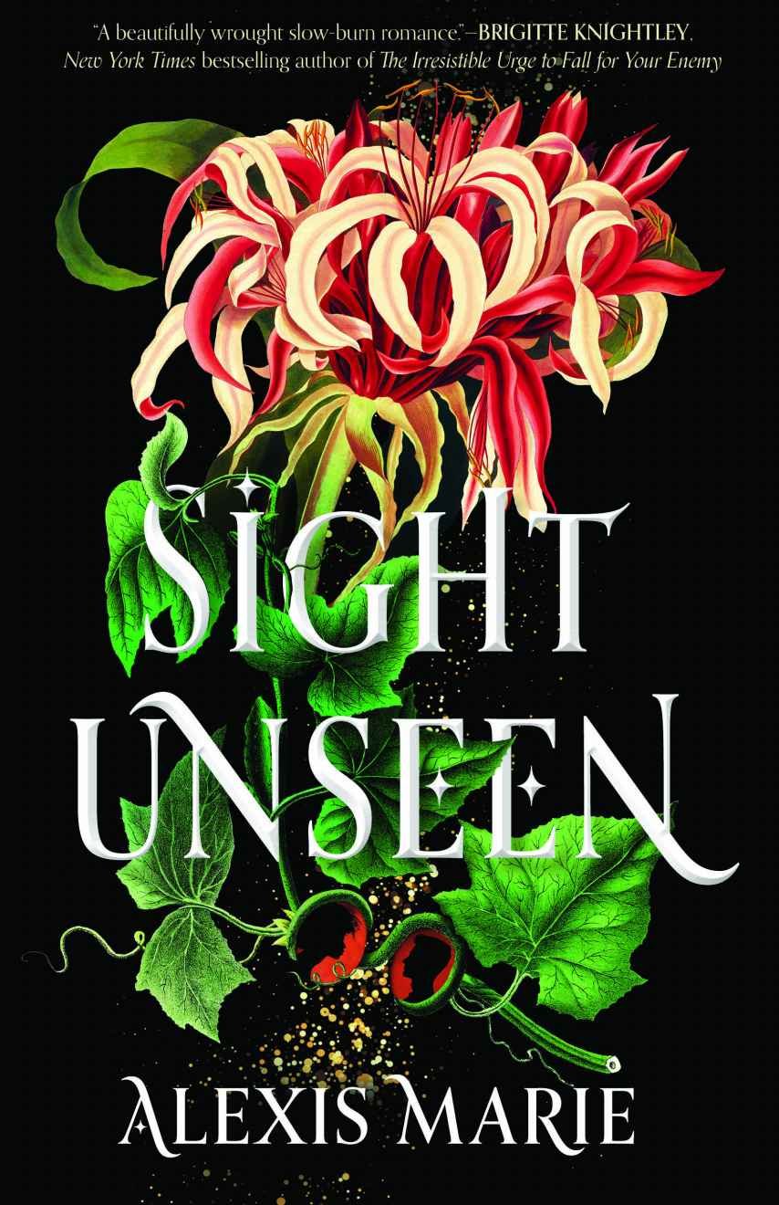 Cover of Sight Unseen (2026)