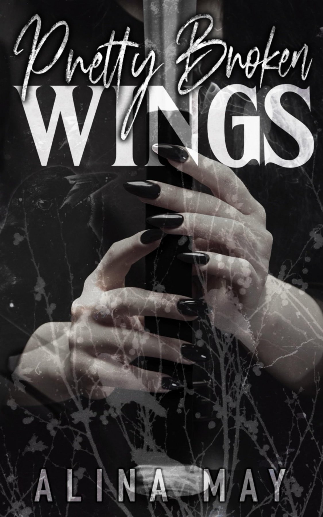 Cover of Pretty Broken Wings