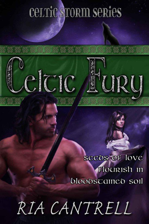 Cover of Celtic Fury