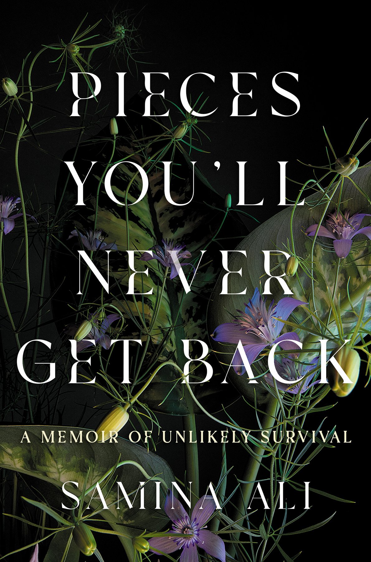 Cover of Pieces You'll Never Get Back