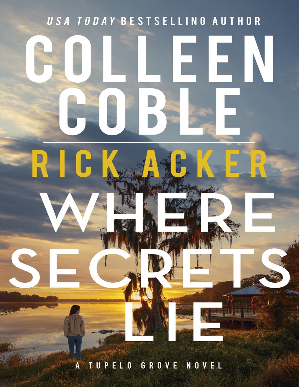 Cover of Where Secrets Lie