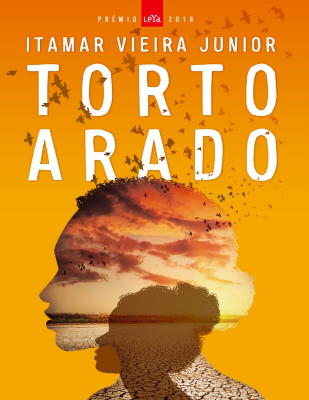 Cover of Torto Arado (Prémio LeYa 2018)