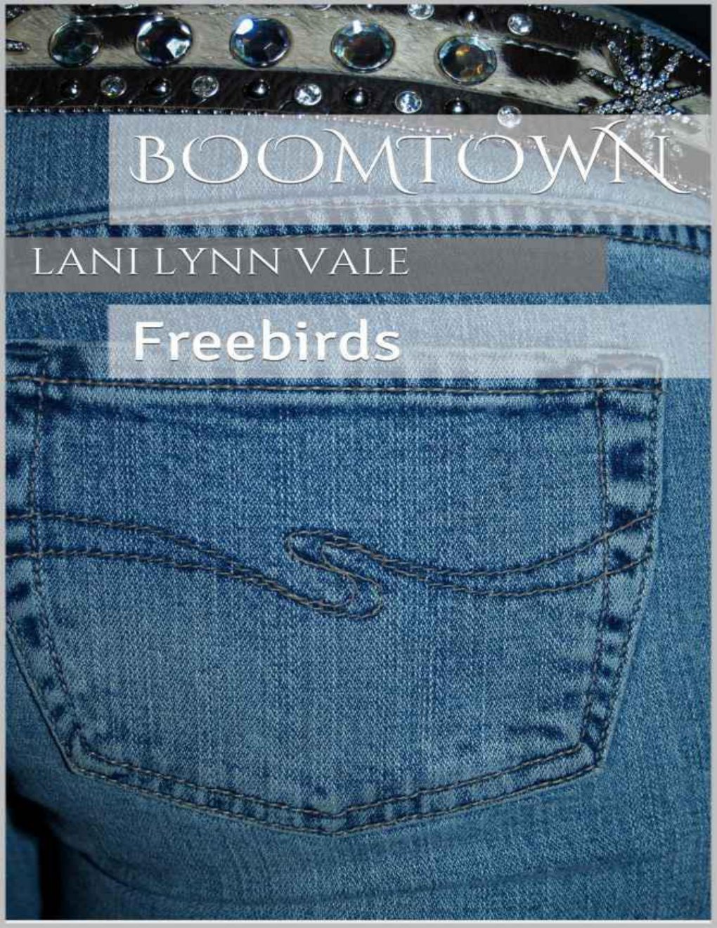 Cover of Boomtown
