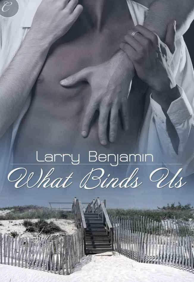 Cover of Larry Benjamin - What Binds Us