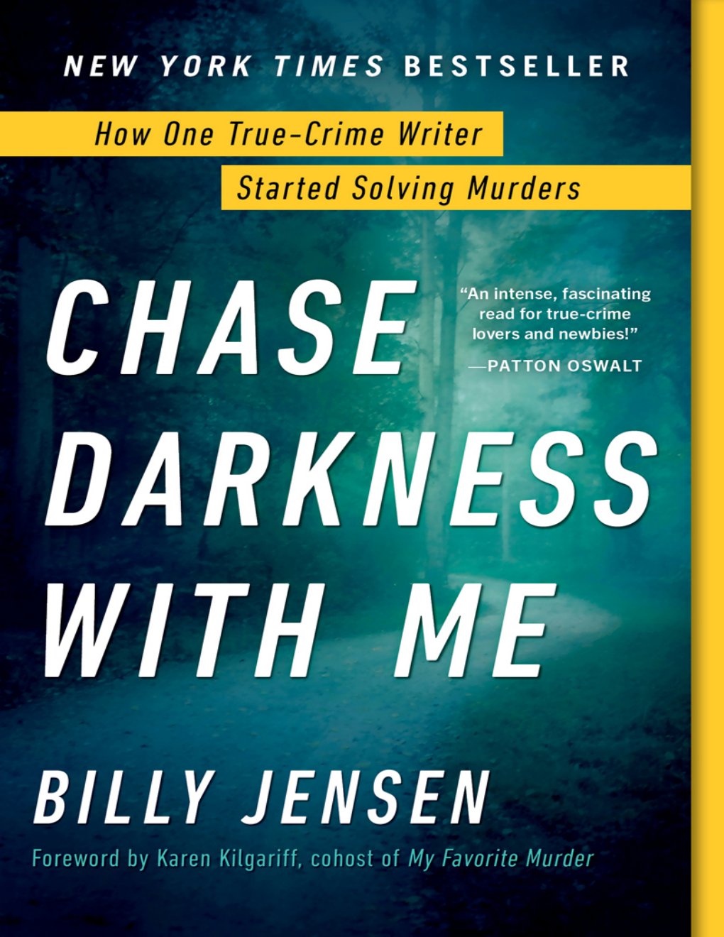 Cover of Chase Darkness with Me