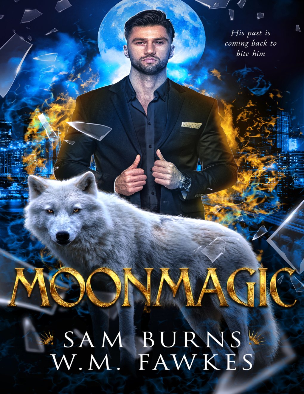 Cover of Moonmagic (Witchwolf Book 2)