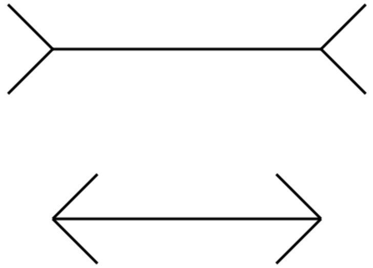 Cover of Useful Not True