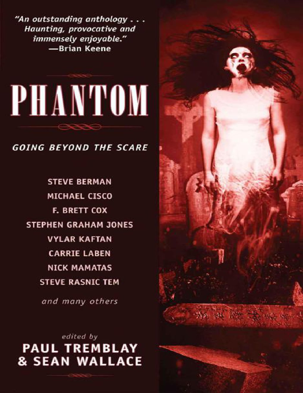 Cover of Phantom (2004)