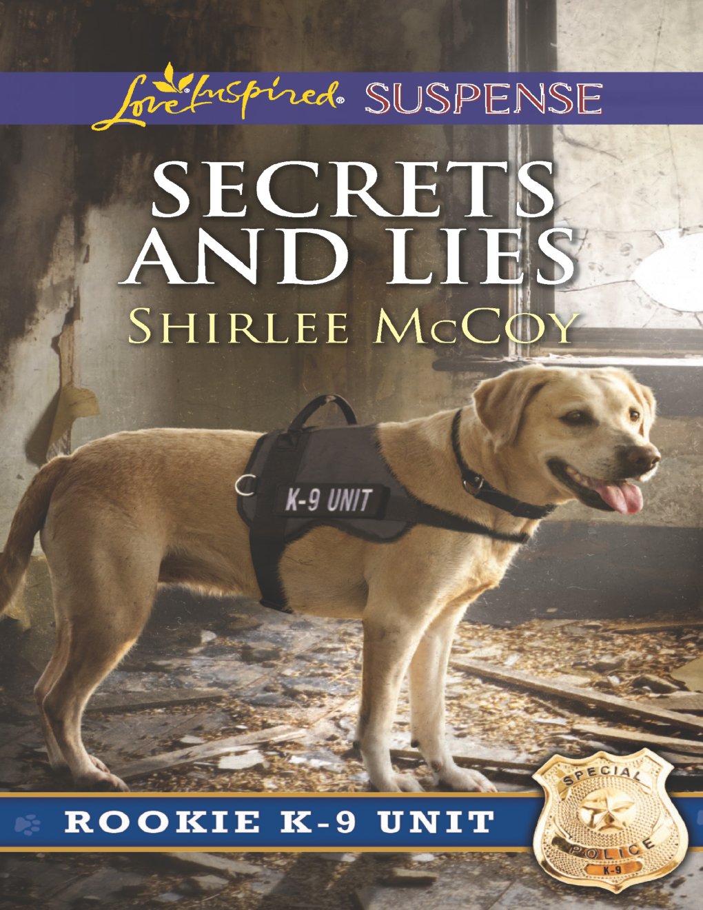 Cover of Secrets and Lies (2016)