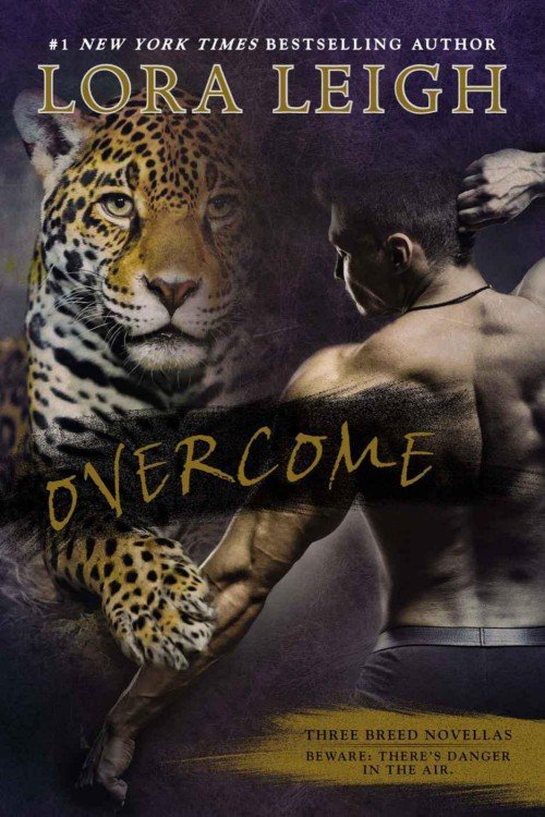 Cover of Overcome