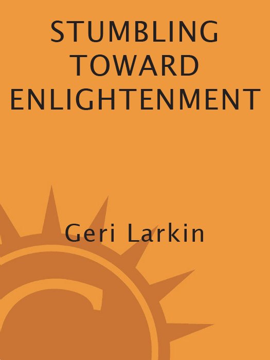 Cover of Stumbling Toward Enlightenment
