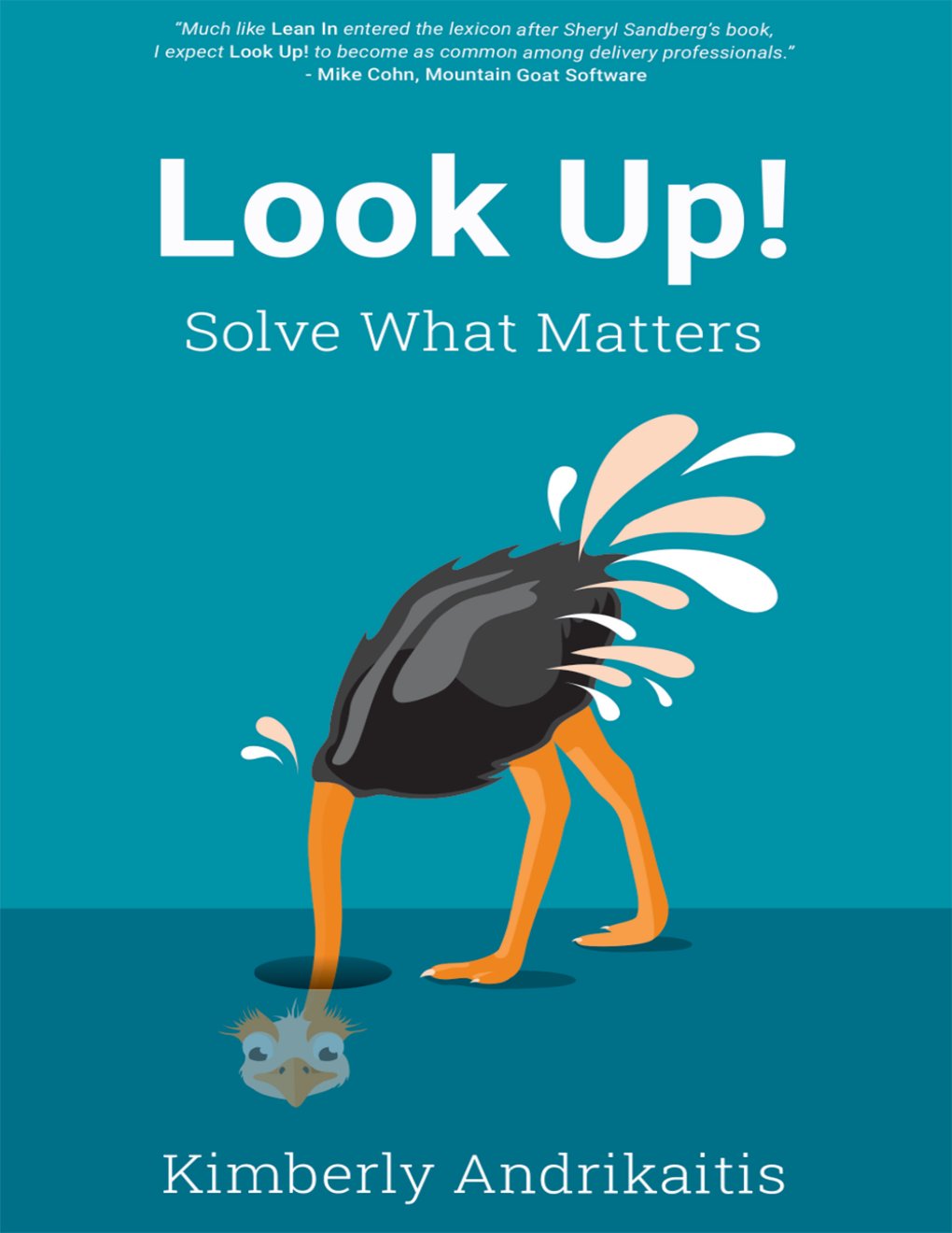 Cover of Look Up!: Solve What Matters
