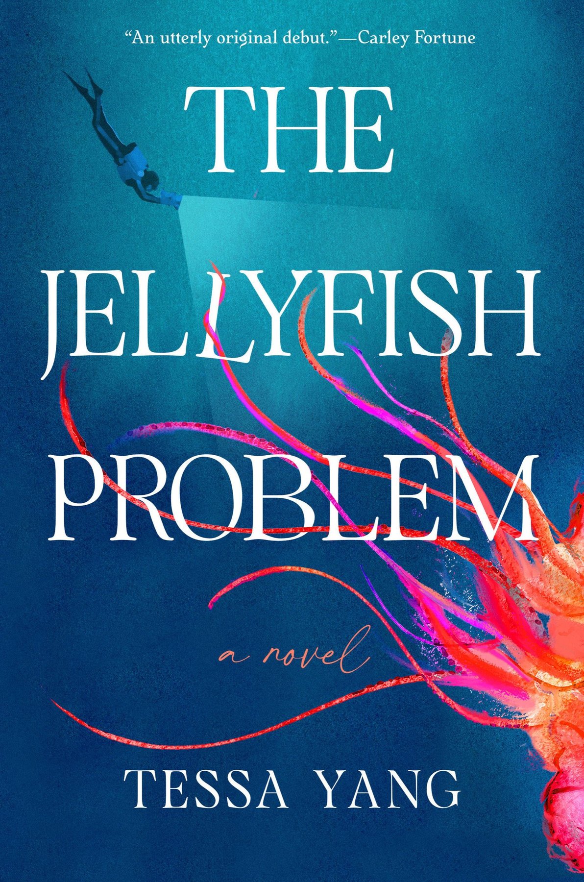 Cover of The Jellyfish Problem
