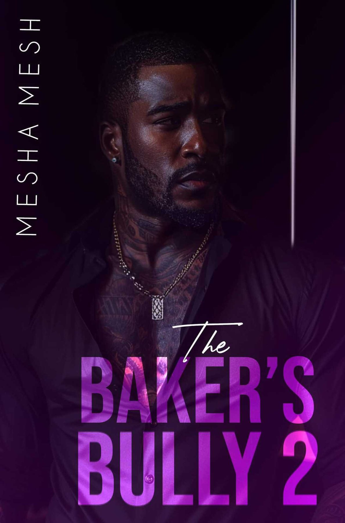 Cover of The Baker's Bully 2