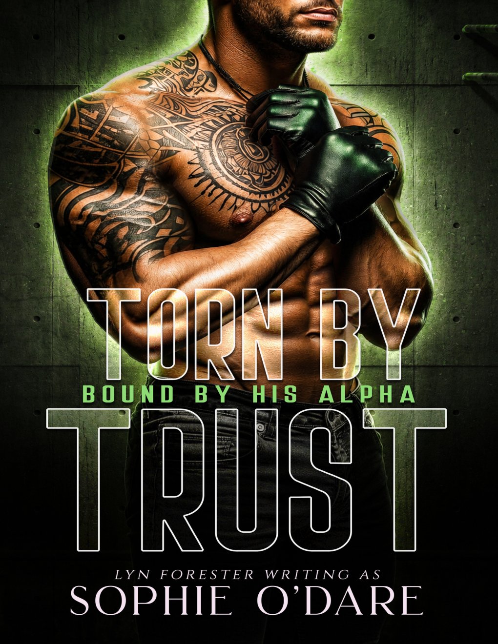 Cover of Torn by Trust (Bound by His Alpha Book 2)