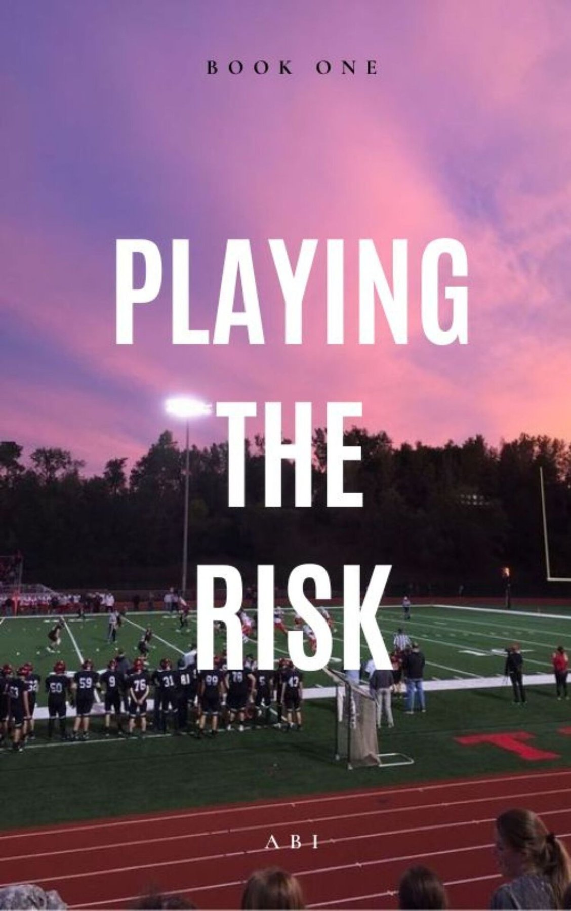Cover of Playing The Risk: The WSU Series