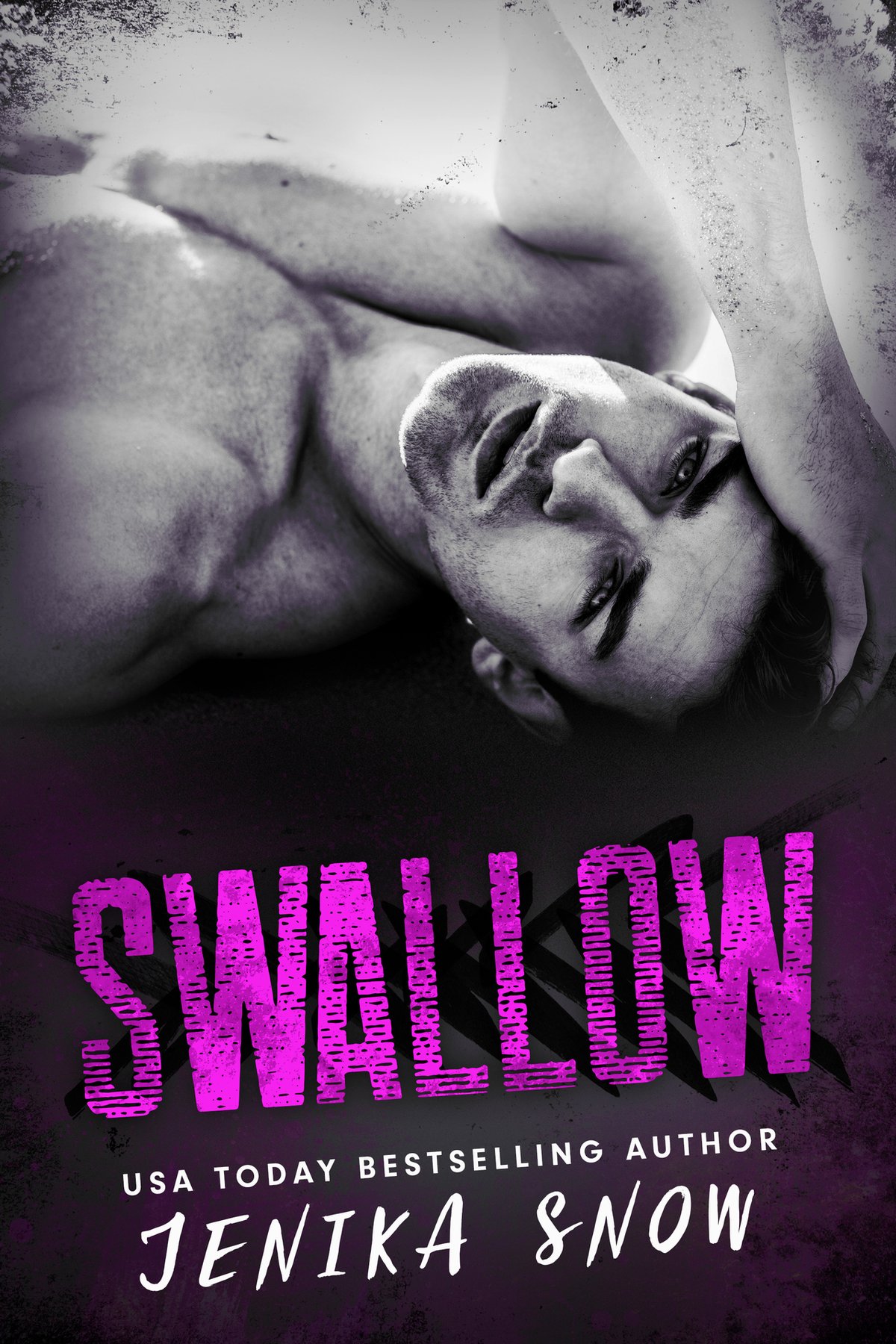 Cover of Swallow