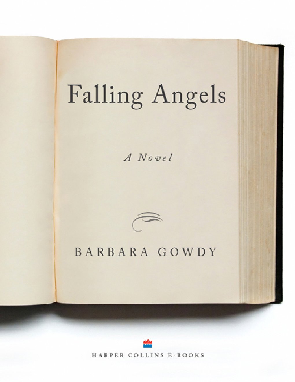 Cover of Falling Angels