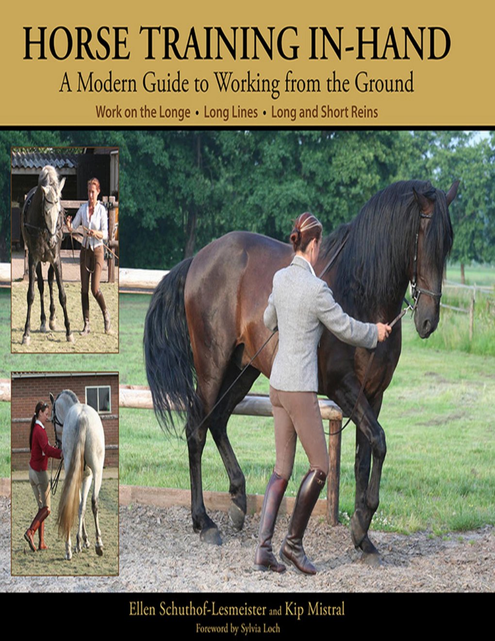 Cover of Horse Training In-Hand