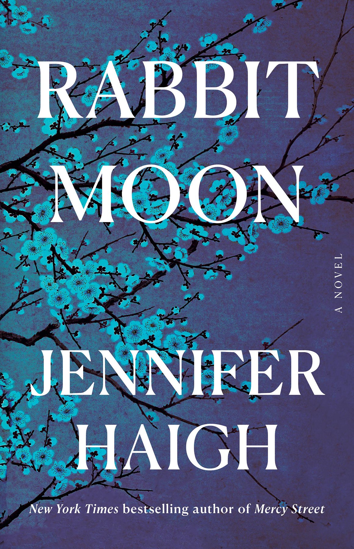Cover of Rabbit Moon