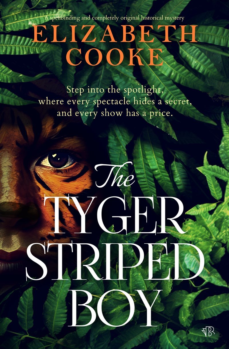 Cover of The Tyger Striped Boy