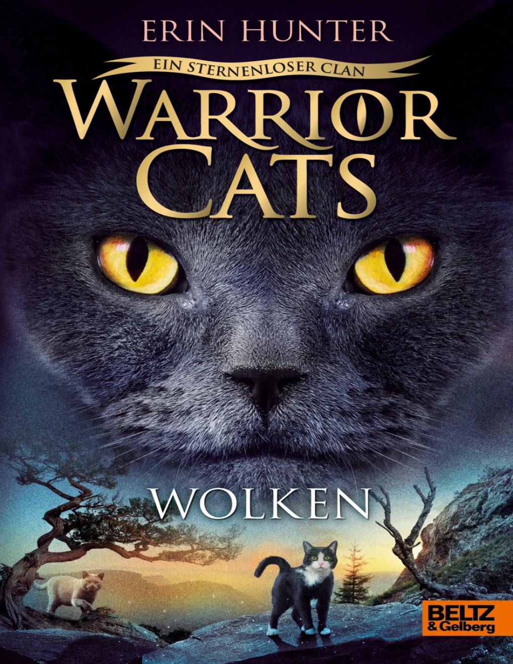 Cover of 002 - Wolken