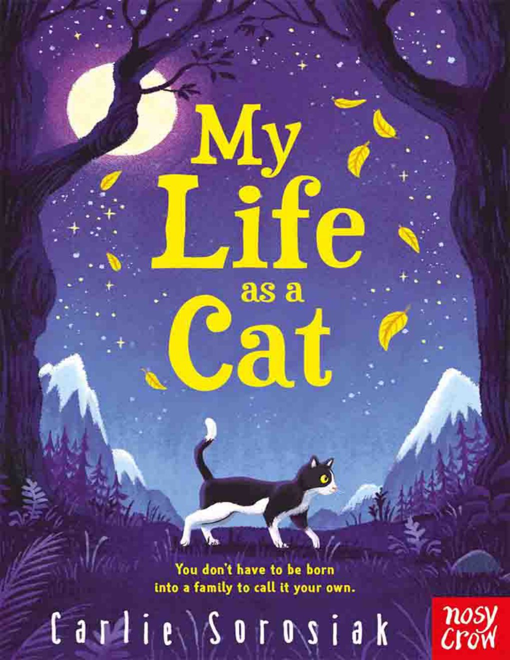 Cover of My Life as a Cat