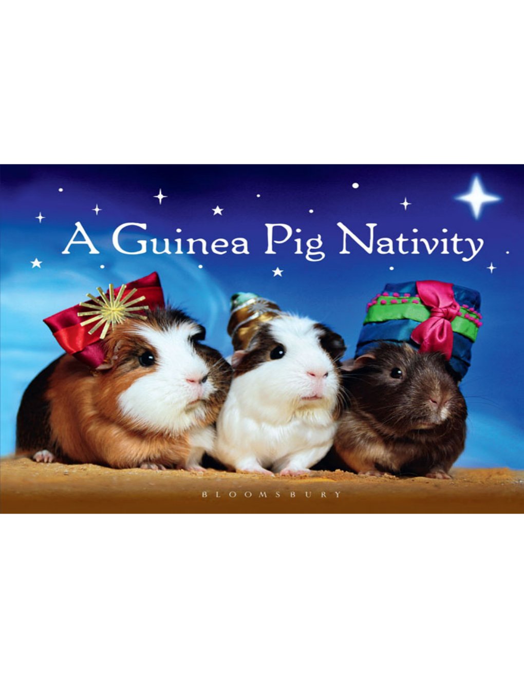 Cover of A Guinea Pig Nativity