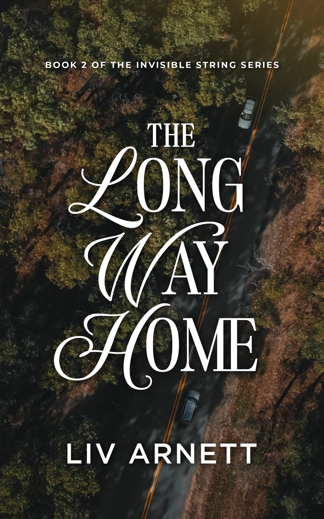 Cover of The Long Way Home