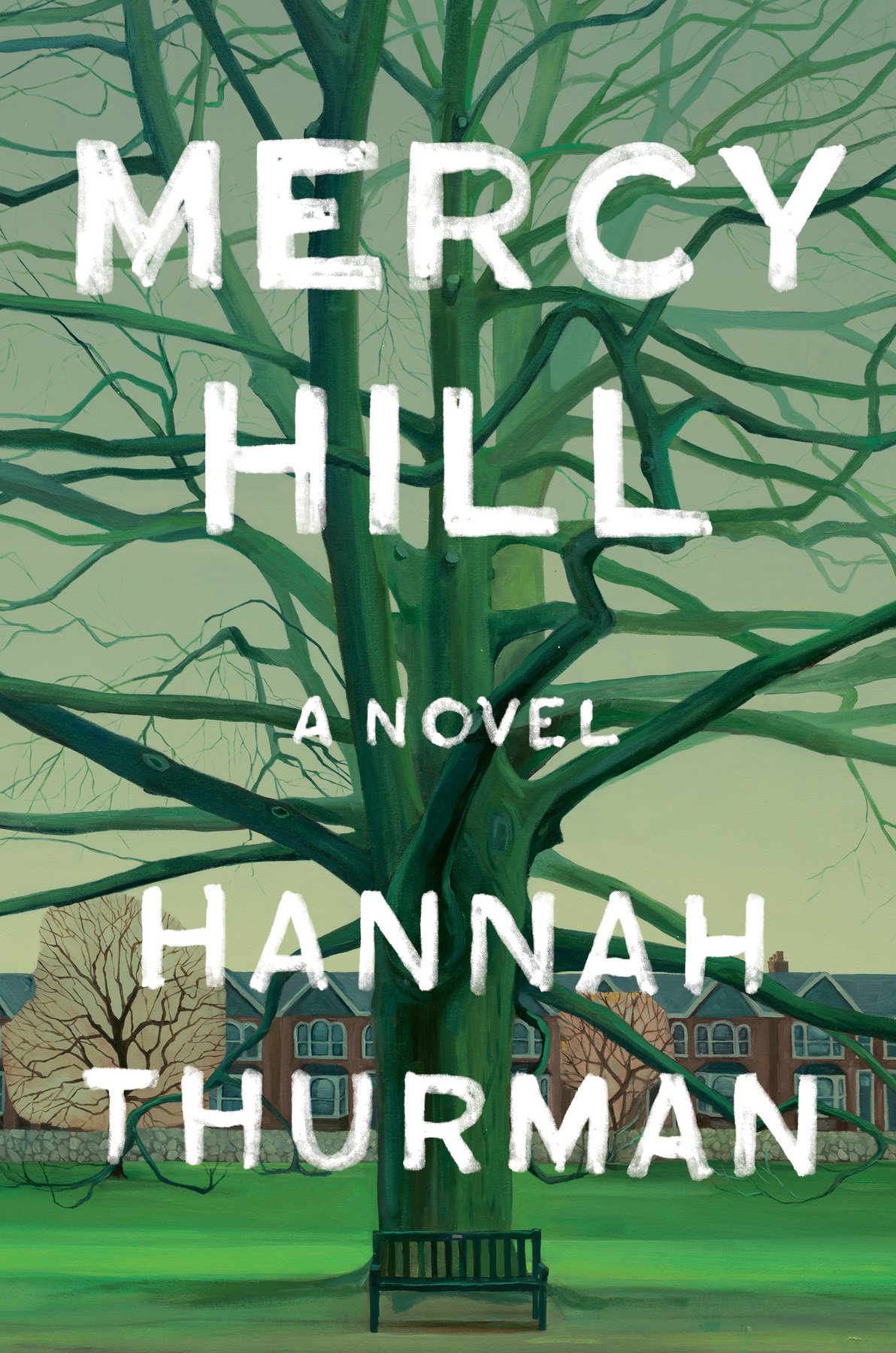 Cover of Mercy Hill
