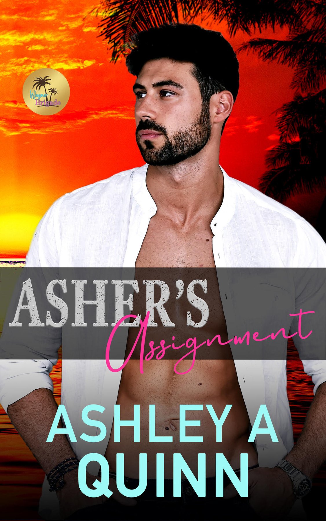 Cover of Asher's Assignment