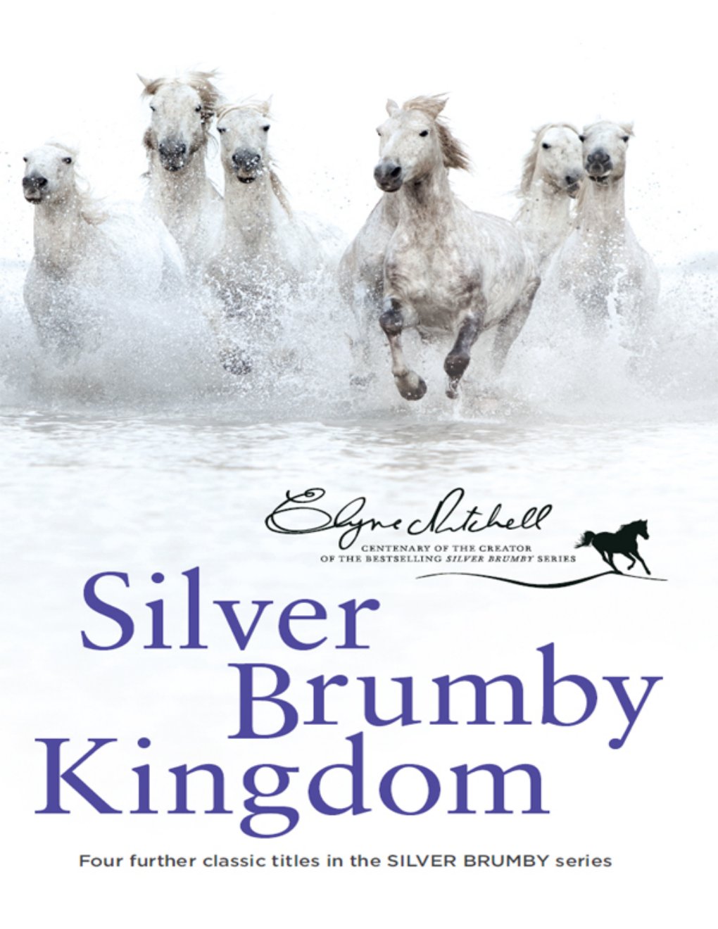 Cover of Silver Brumby Kingdom