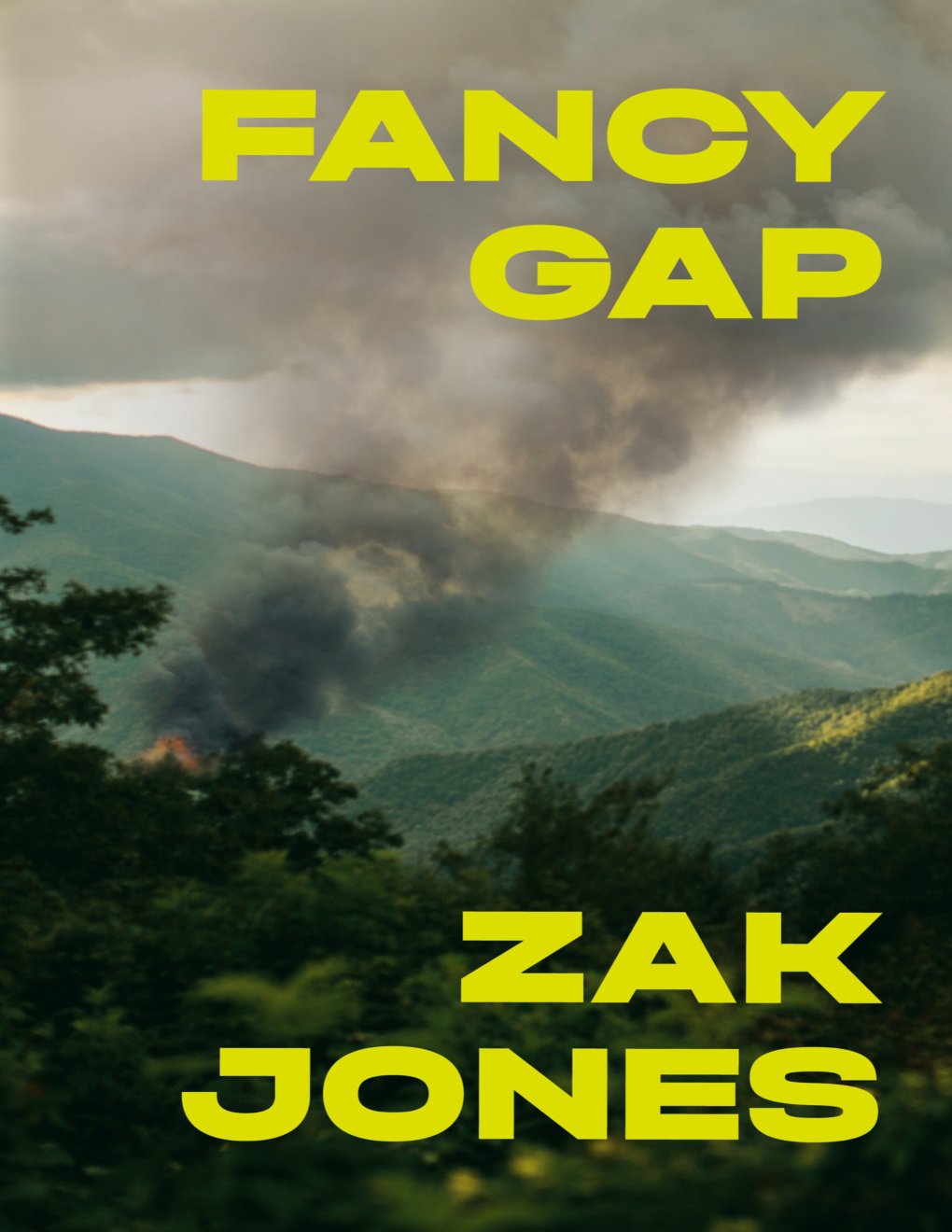 Cover of Fancy Gap: A Novel