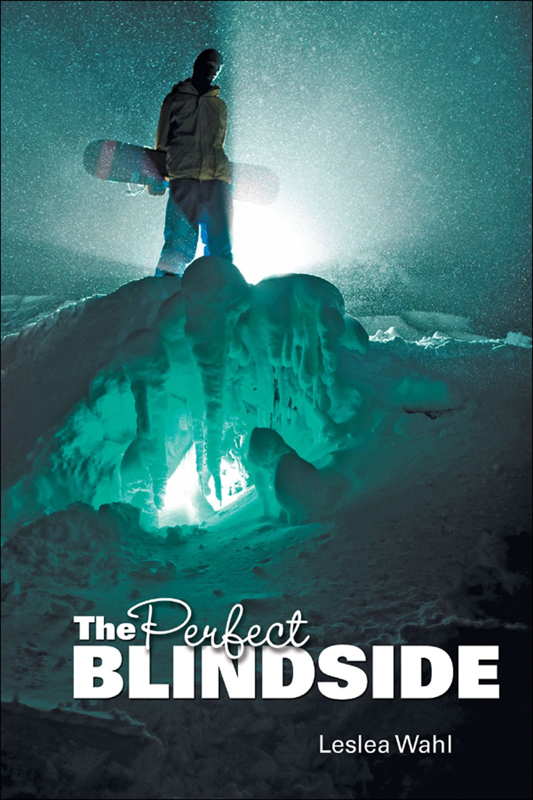 Cover of The Perfect Blindside