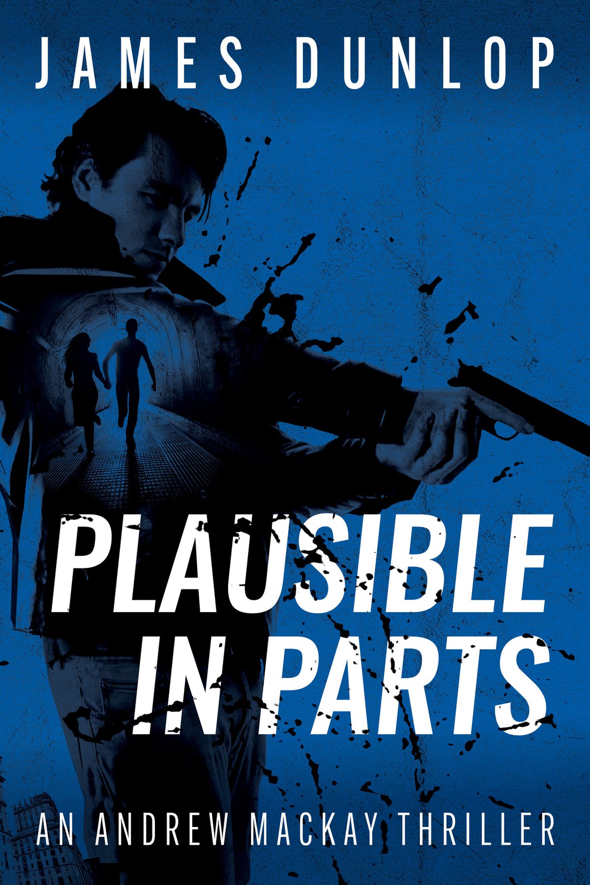 Cover of Plausible in Parts