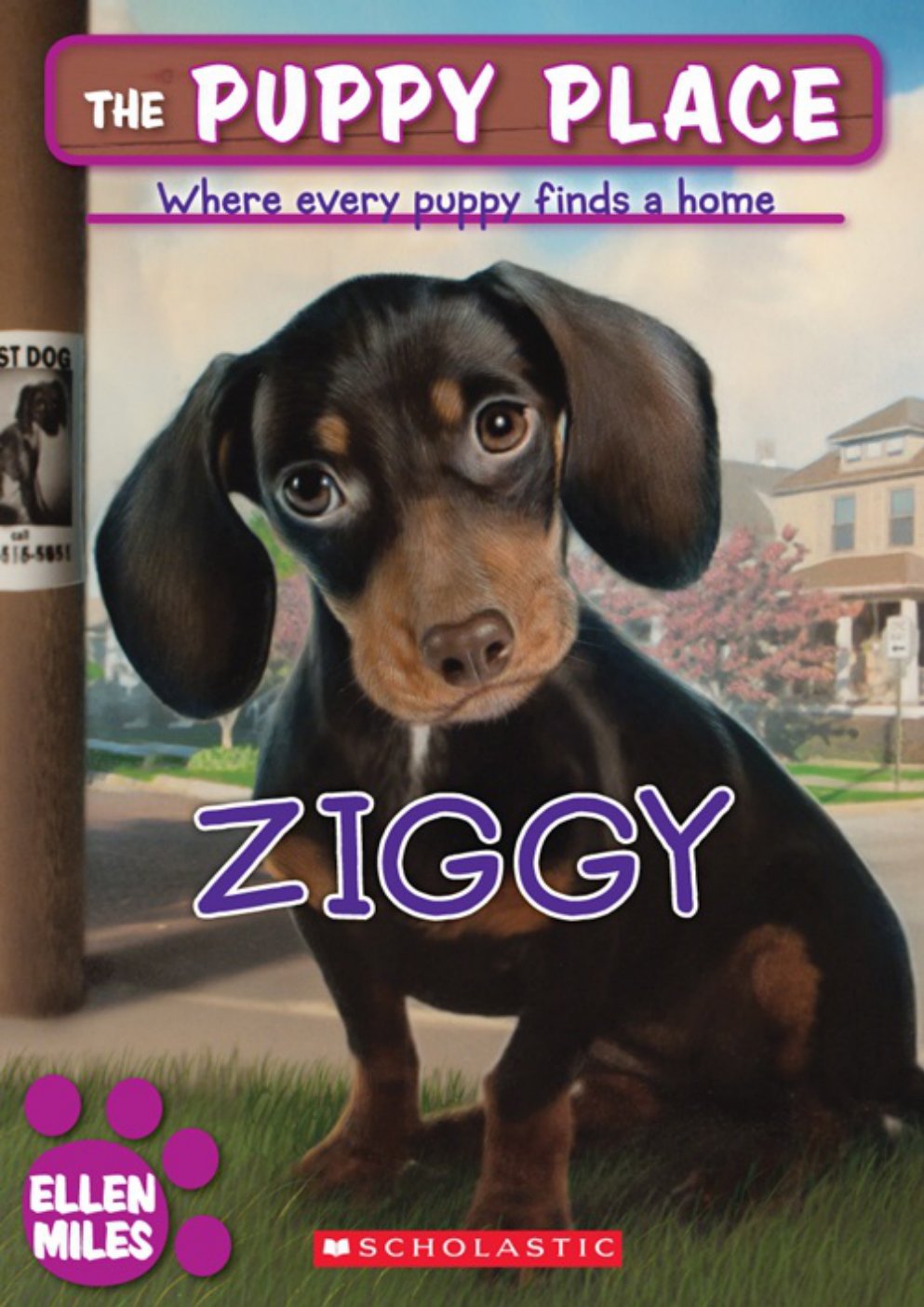 Cover of Ziggy