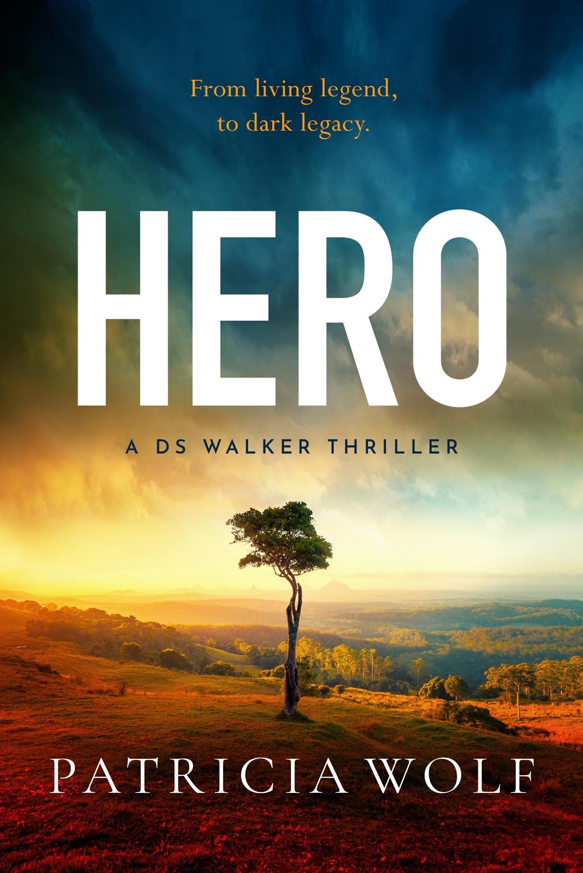 Cover of Hero