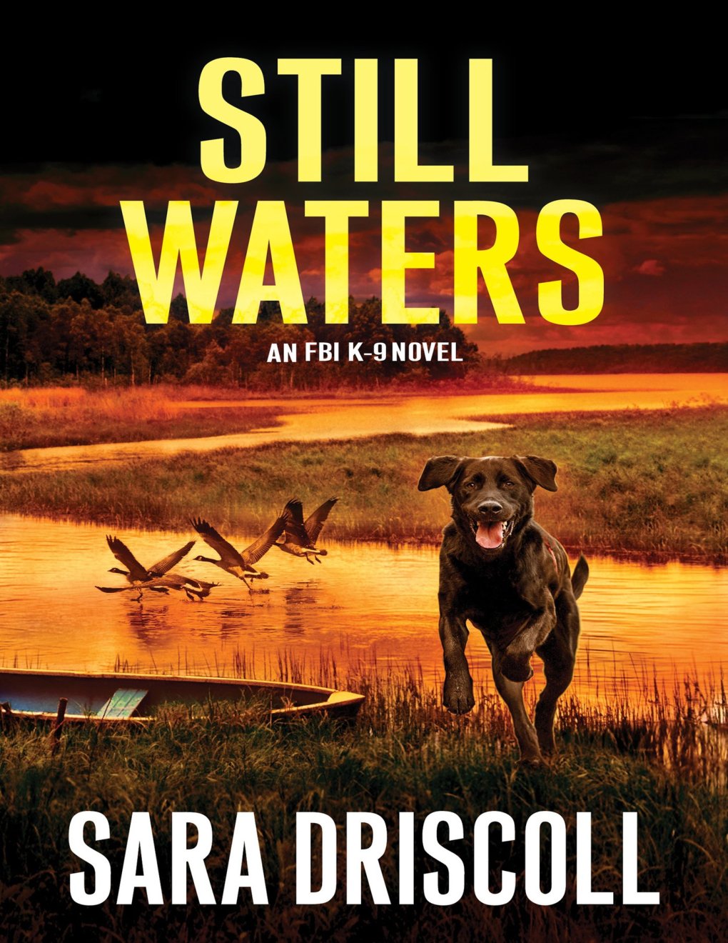 Cover of Still Waters