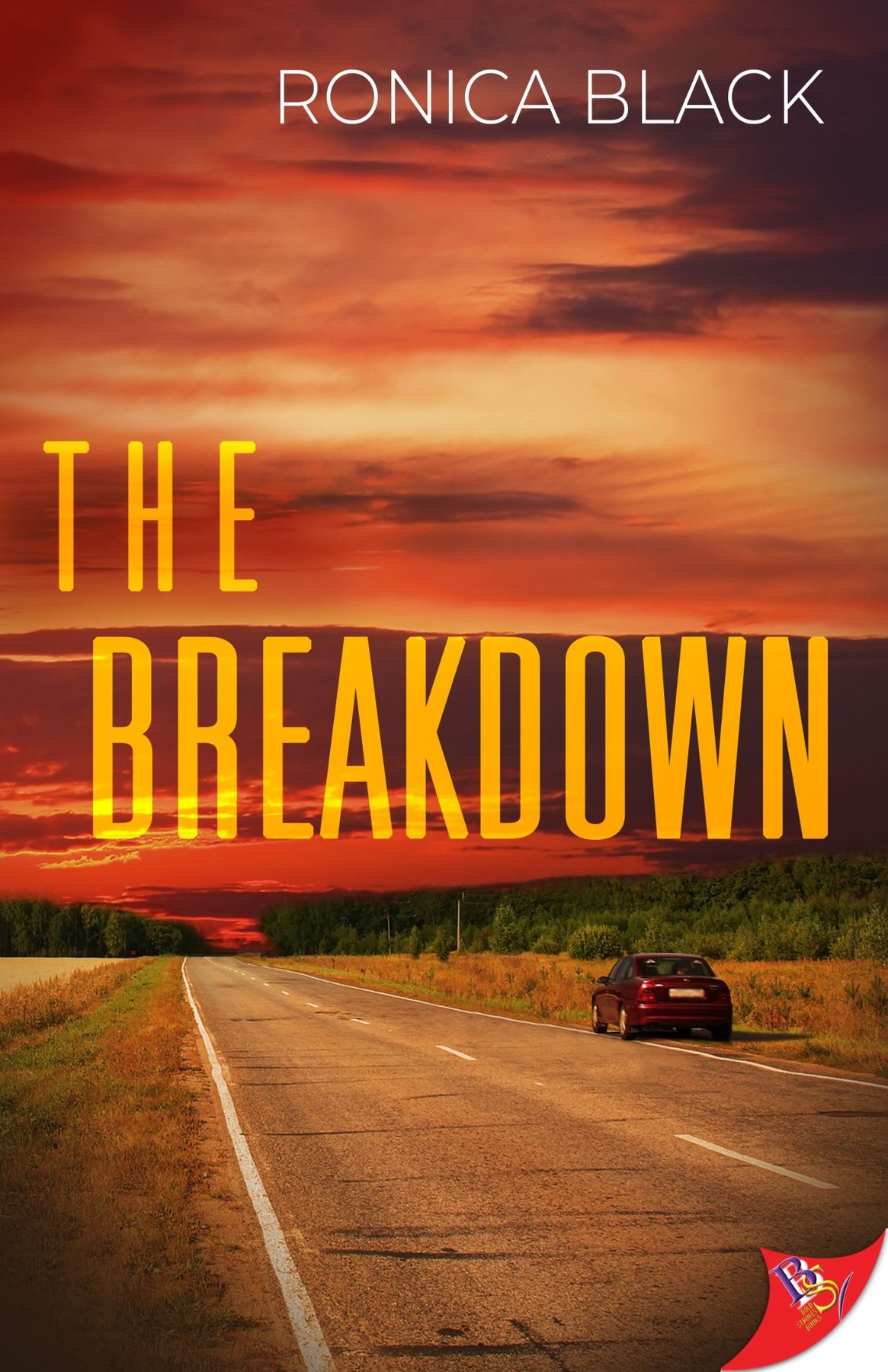 Cover of The Breakdown