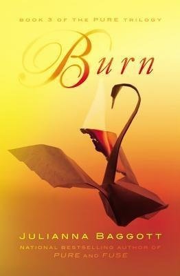 Cover of Burn