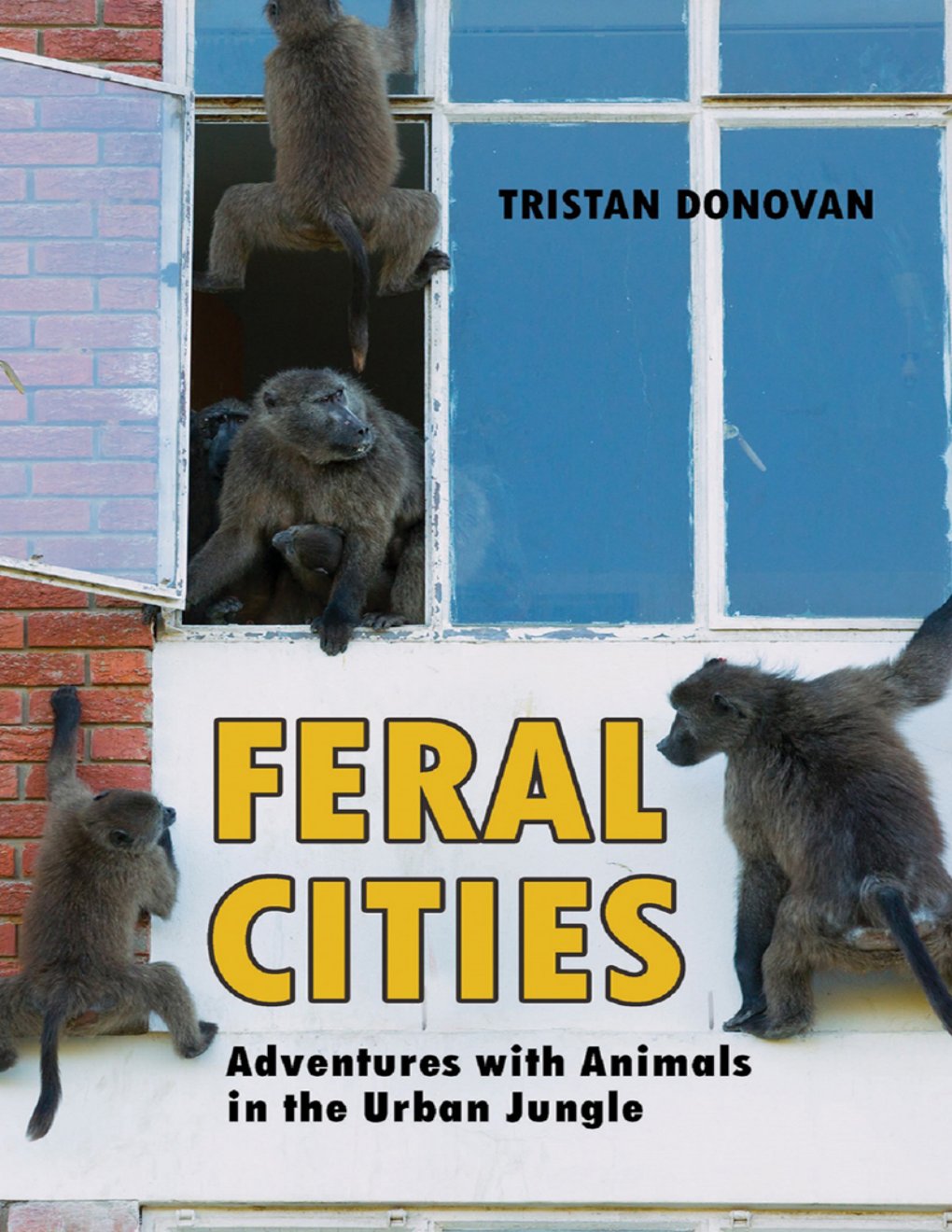Cover of Feral Cities