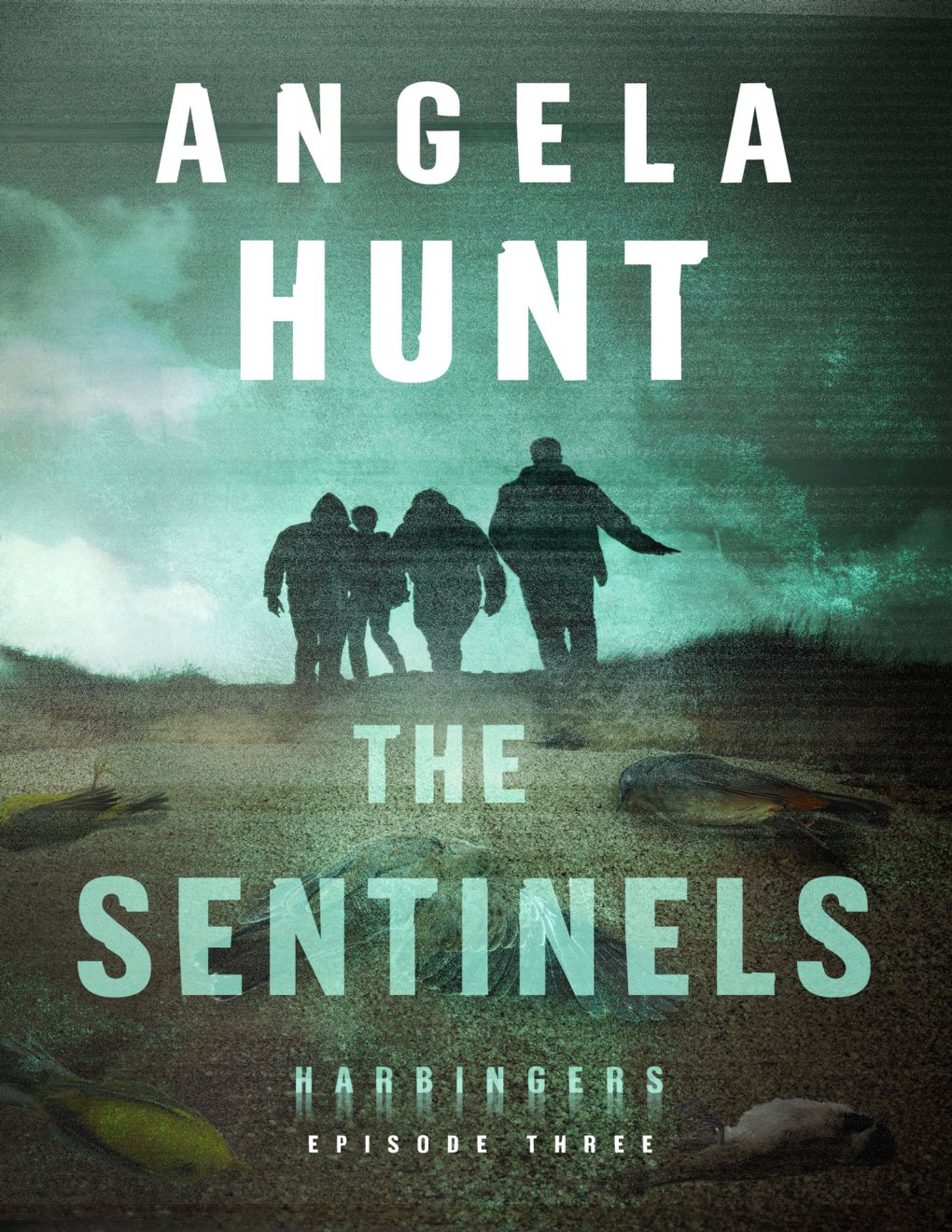 Cover of The Sentinels