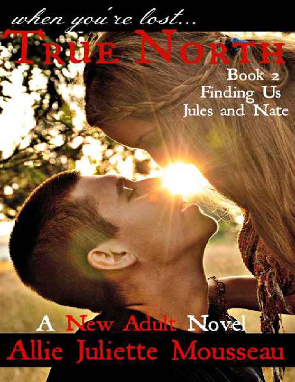 Cover of Finding Us