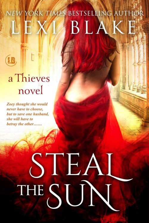 Cover of Steal the Sun