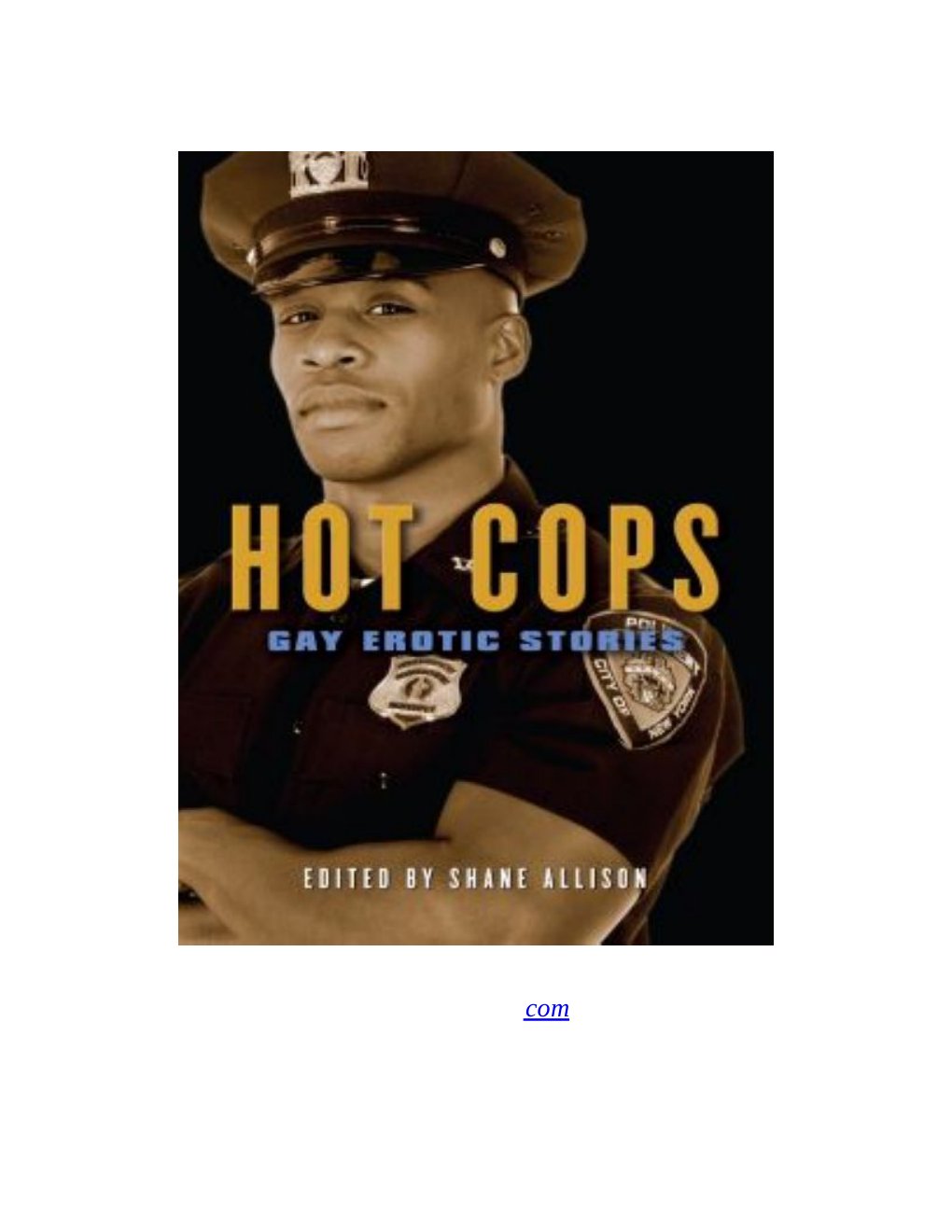 Cover of Hot Cops (2000)