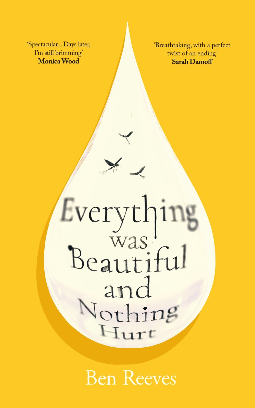 Cover of Everything Was Beautiful and Nothing Hurt