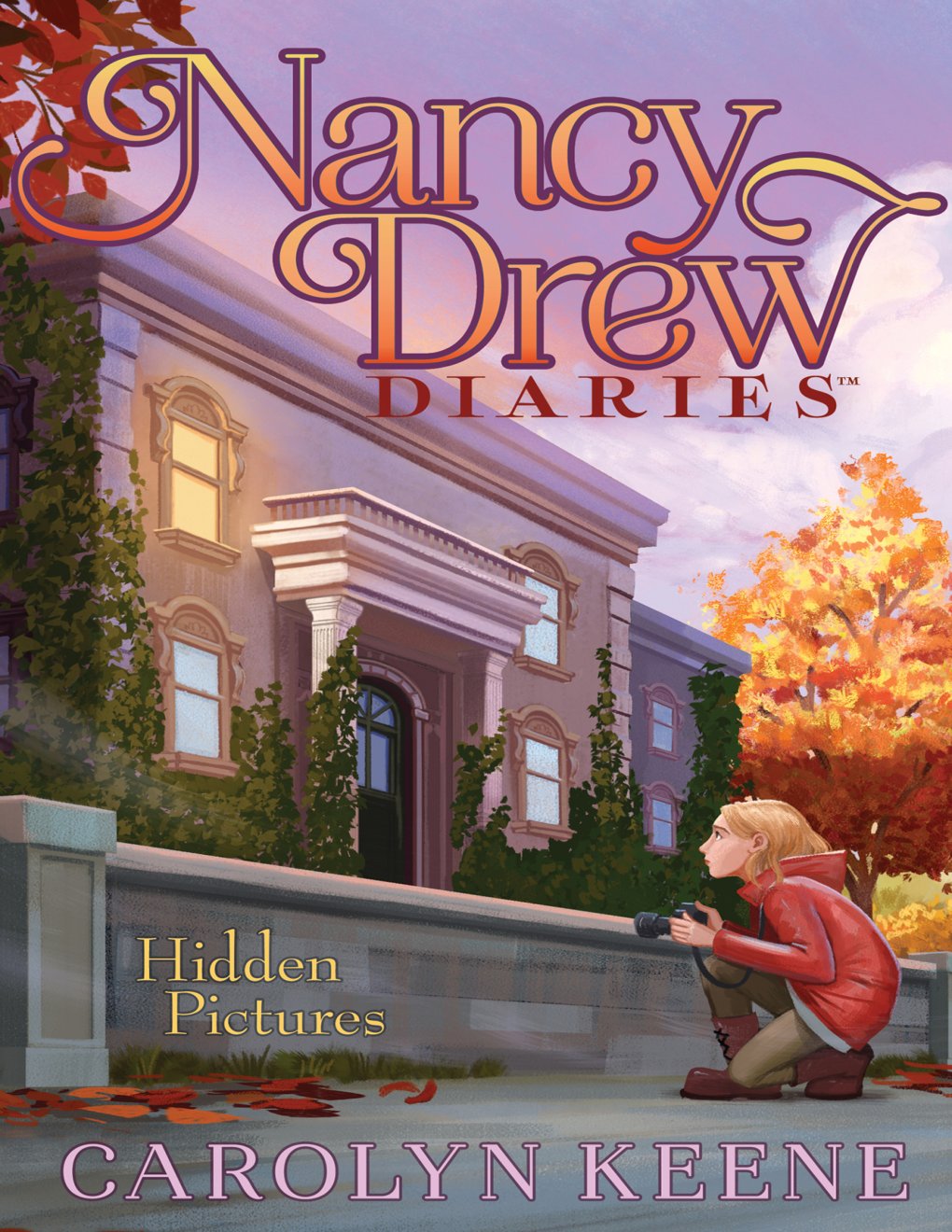 Cover of Hidden Pictures