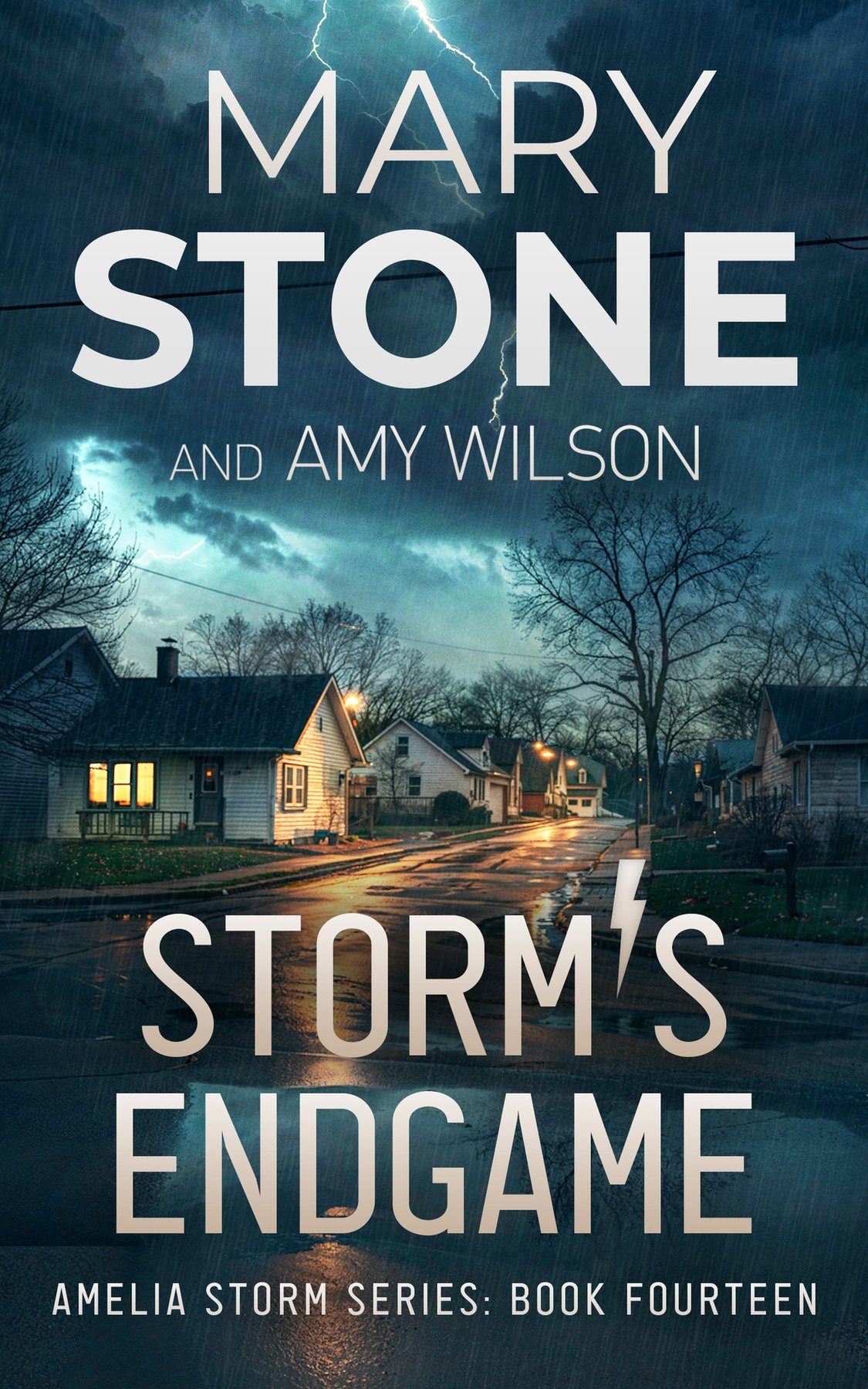 Cover of Storm's Endgame